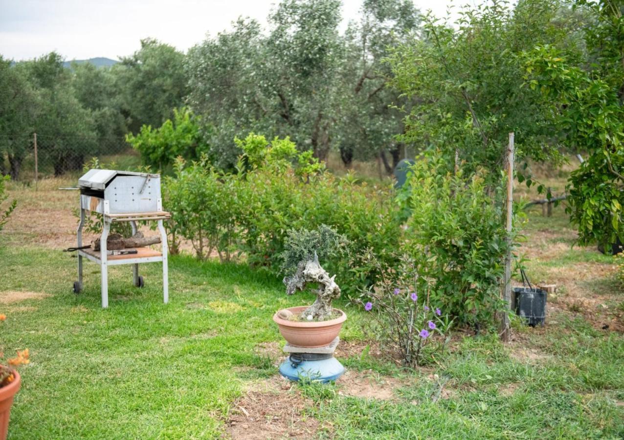 Agrikia Tis Vasilikis Apartment Ormilia Exterior photo