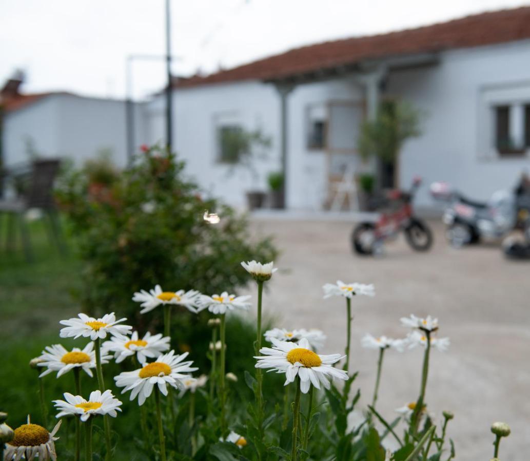 Agrikia Tis Vasilikis Apartment Ormilia Exterior photo